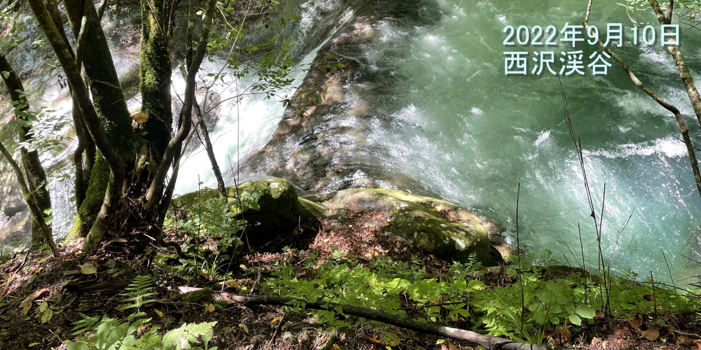 雨の後で水量は多いが水は澄んでいた。2022年9月10日 西沢渓谷 雨の後で水量は多いが水は澄んでいた。2022年9月10日 西沢渓谷