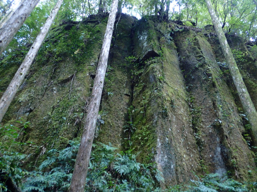 花崗斑岩の溶岩によって形成された柱状節理。2016年12月25日 和歌山県新宮市 花崗斑岩の溶岩によって形成された柱状節理。2016年12月25日 和歌山県新宮市